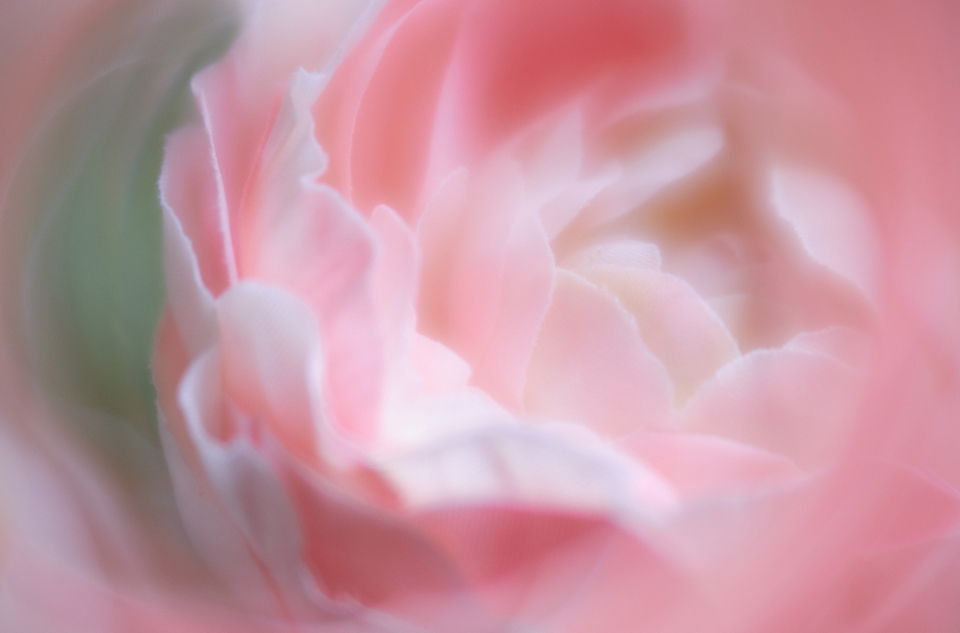 Abstract Flower