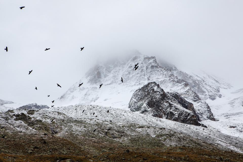 Nature Landscape