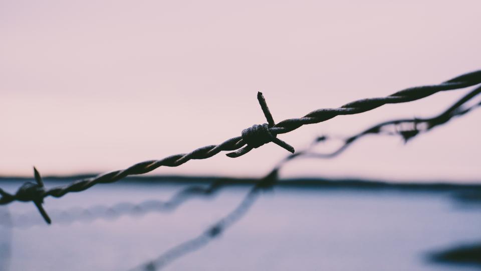 Barb Wires Security