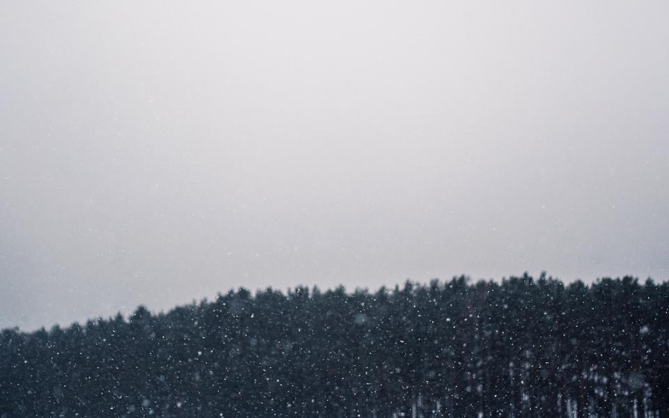 Snowing Blizzard