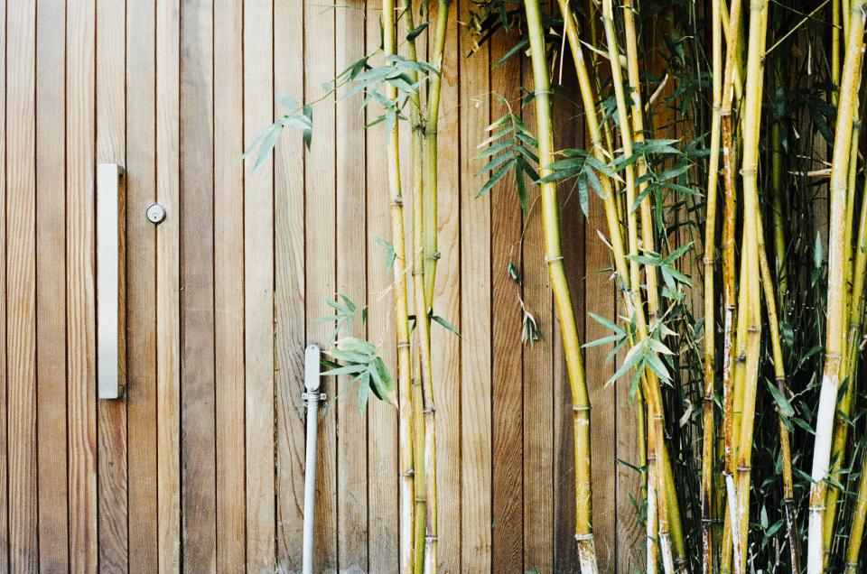 Wood Bamboo