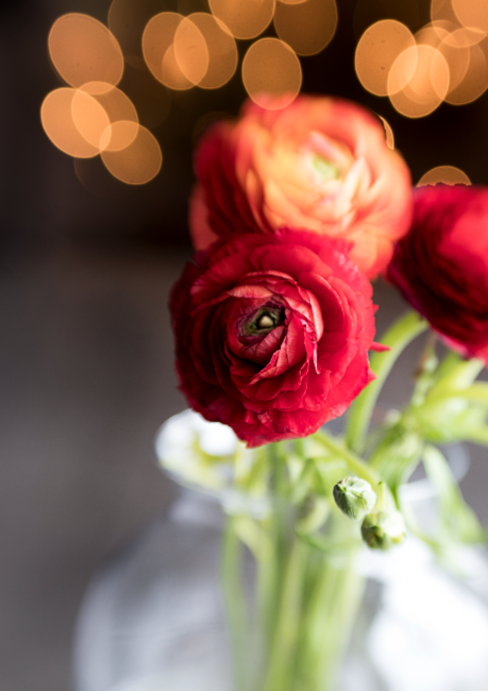 Flower Blossom