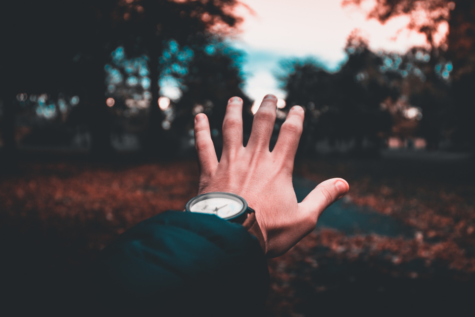 Male Hand