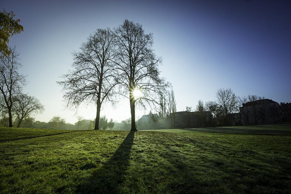 Green Grass