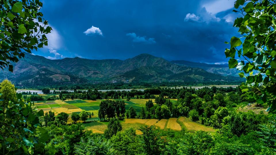Landscape Nature