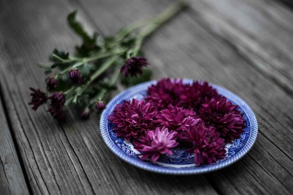 Purple Violet