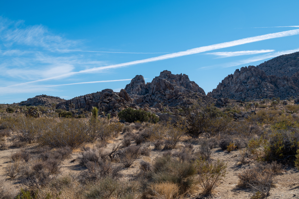 Rocky Landscape