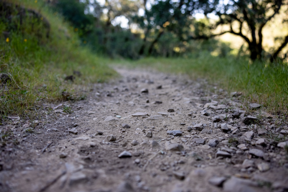 Nature Path