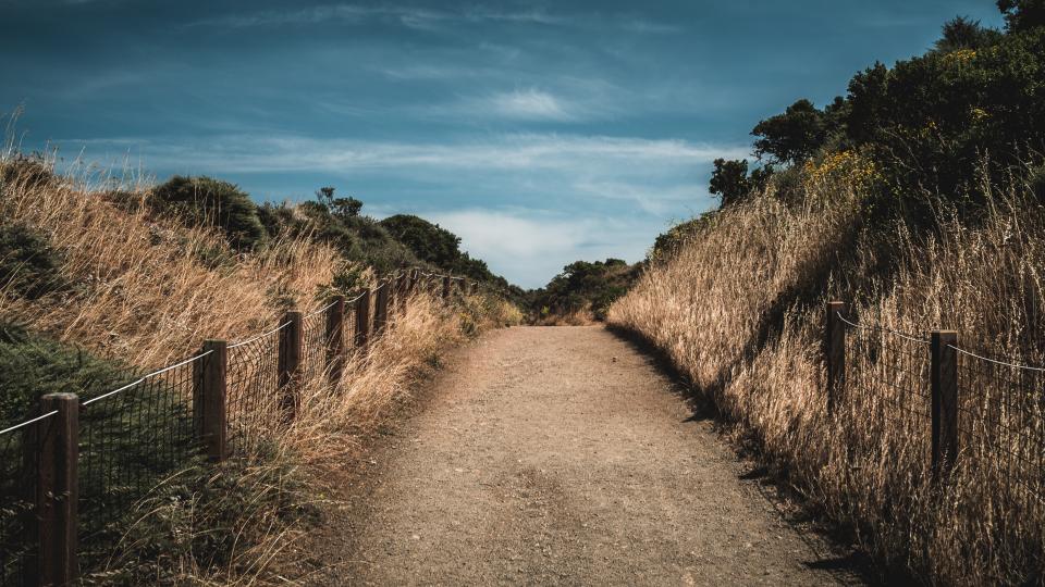 Path Grassland