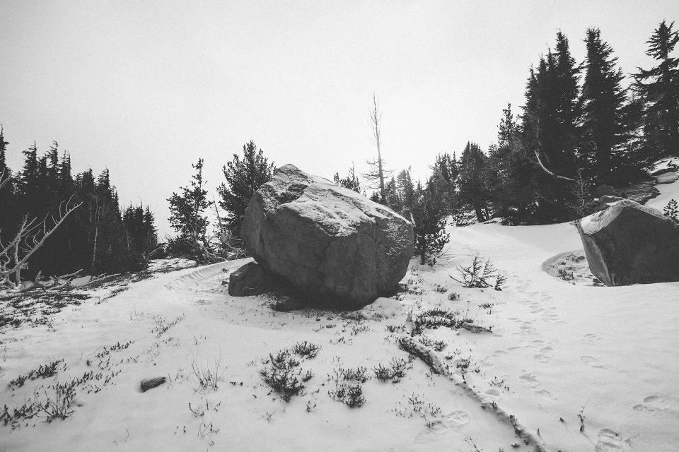Rock Bolder