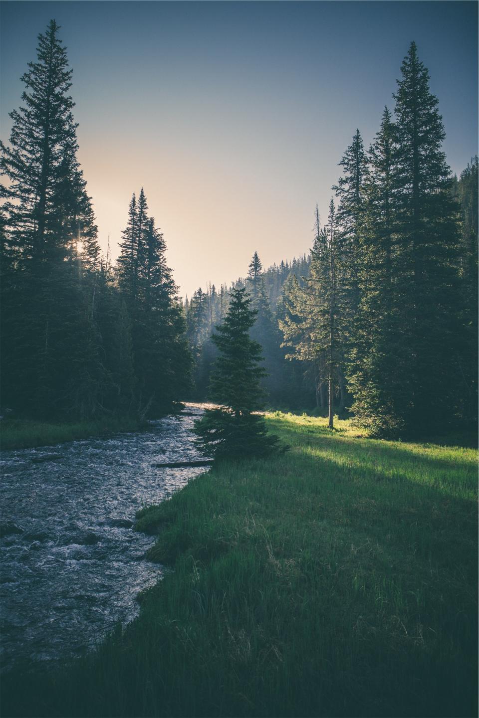 River Stream