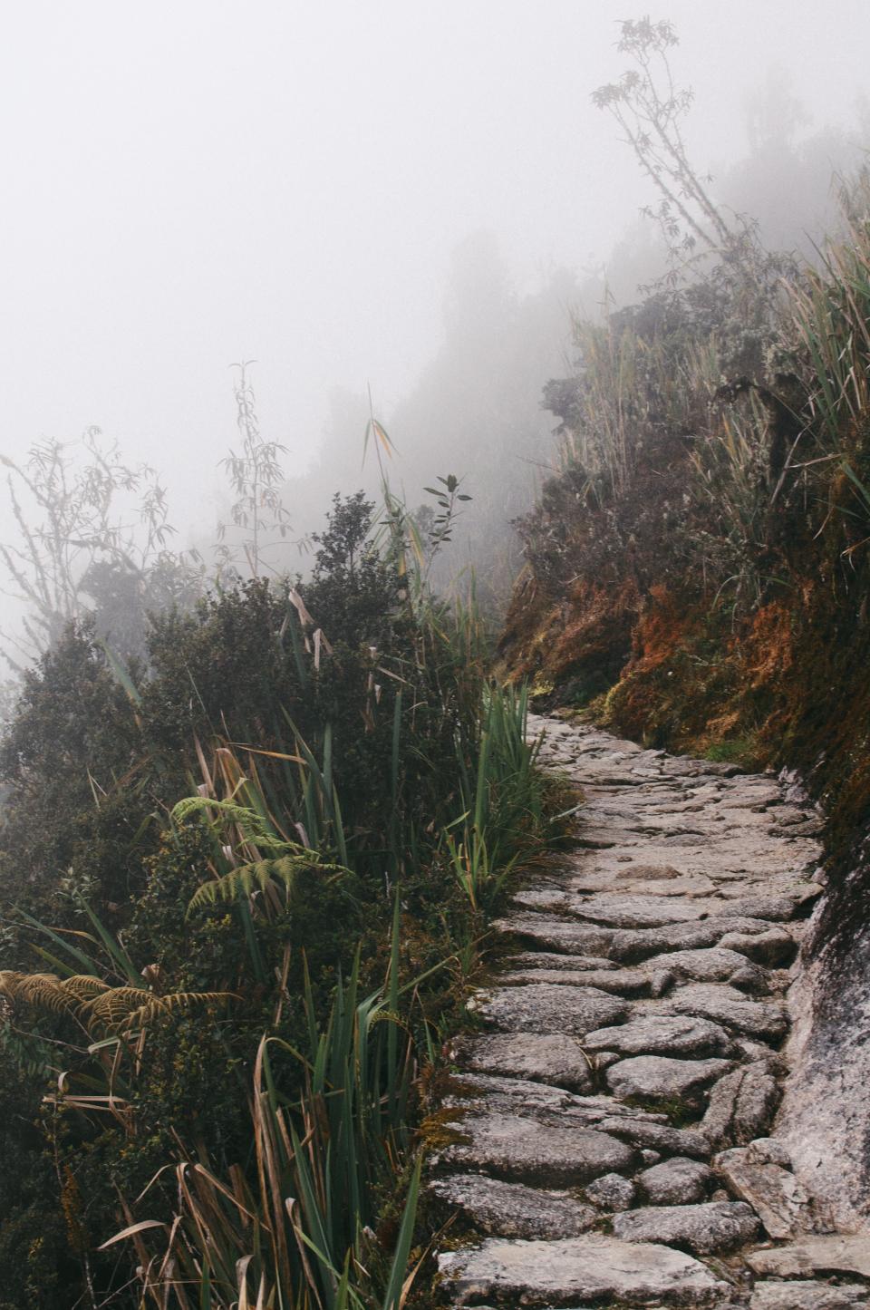 Rock Path