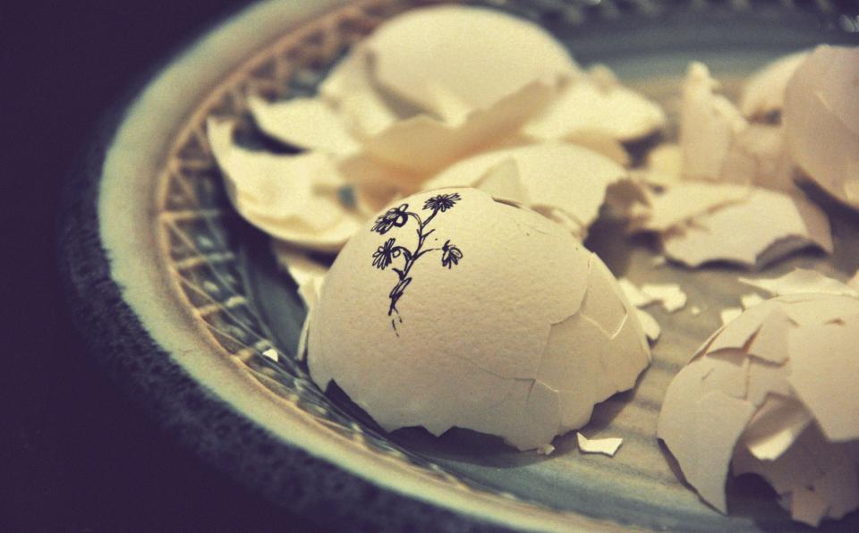 Plate Egg
