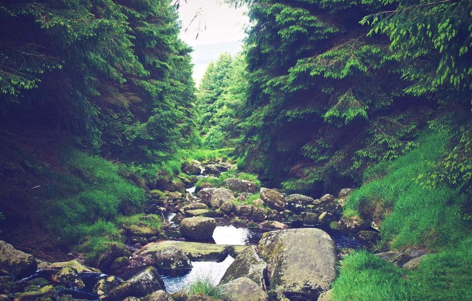 River Stream
