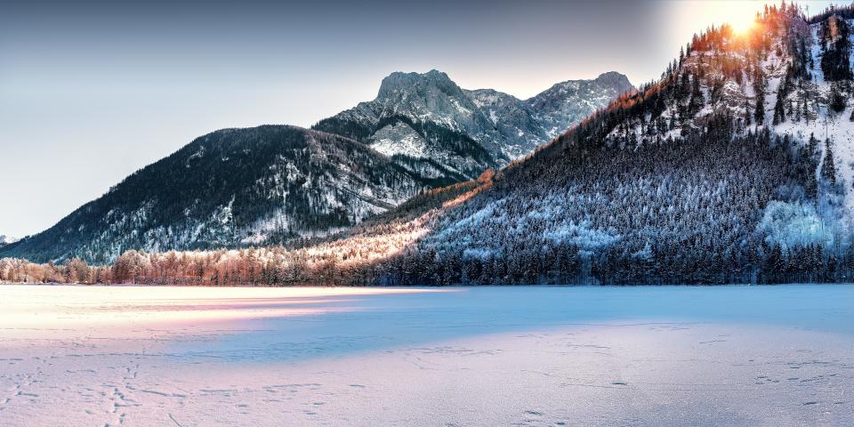 Snow Winter