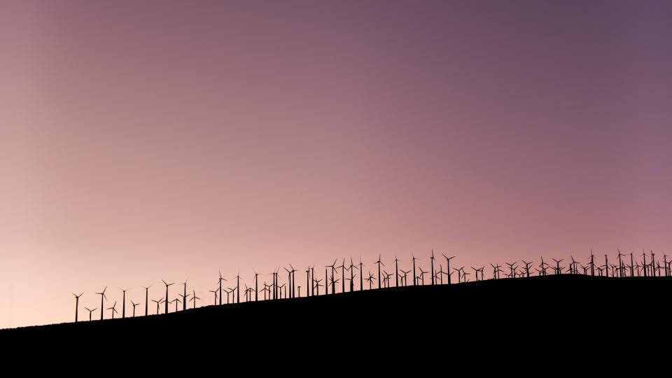 Windmill Field
