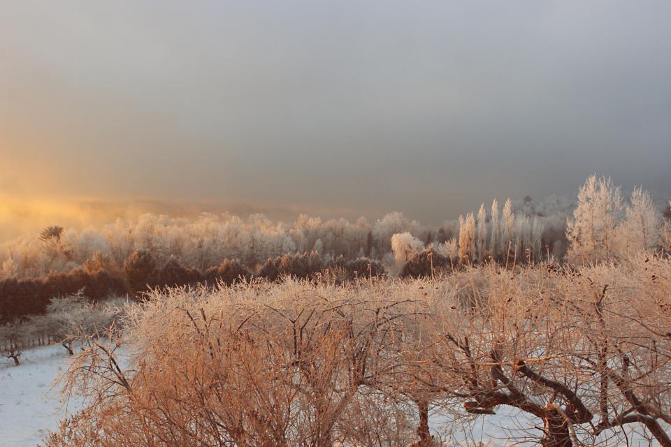 Ice Frozen