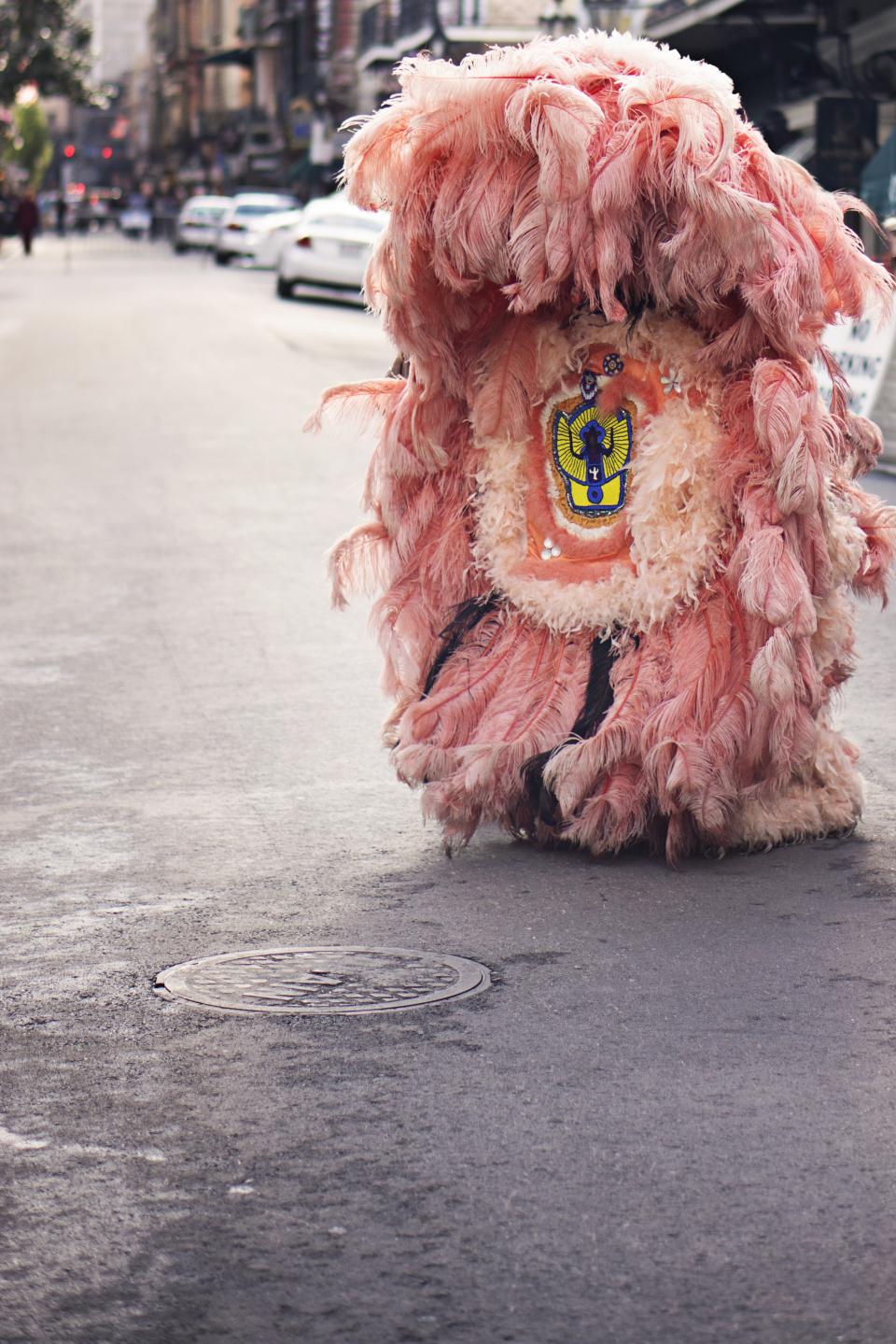 Pink Costume