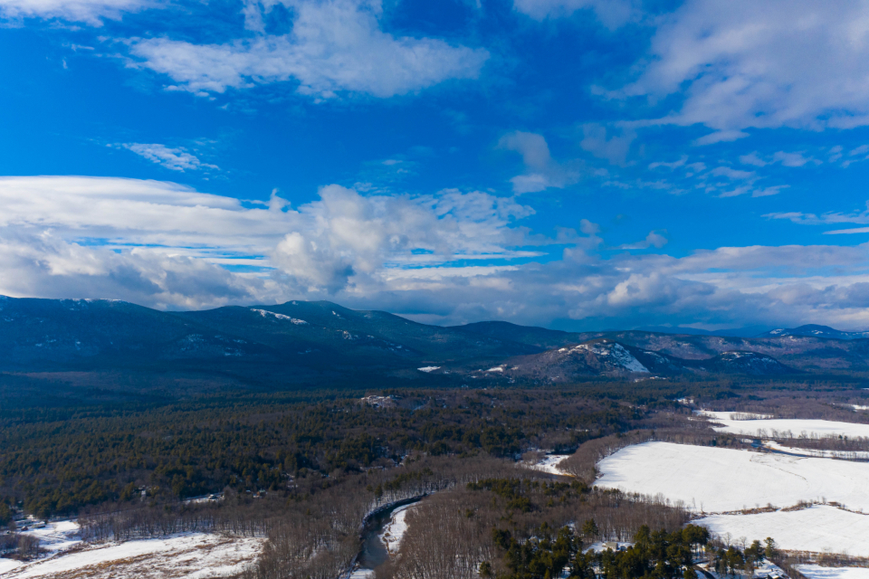 Winter Landscape