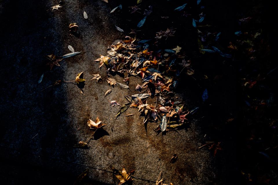 Road Fall