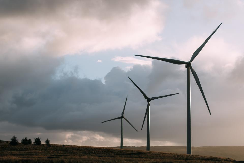 Windmill Field