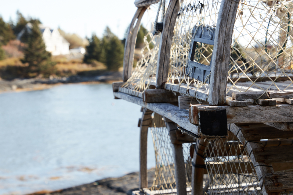 Fishing Traps