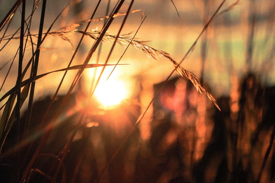 Sunset Dusk
