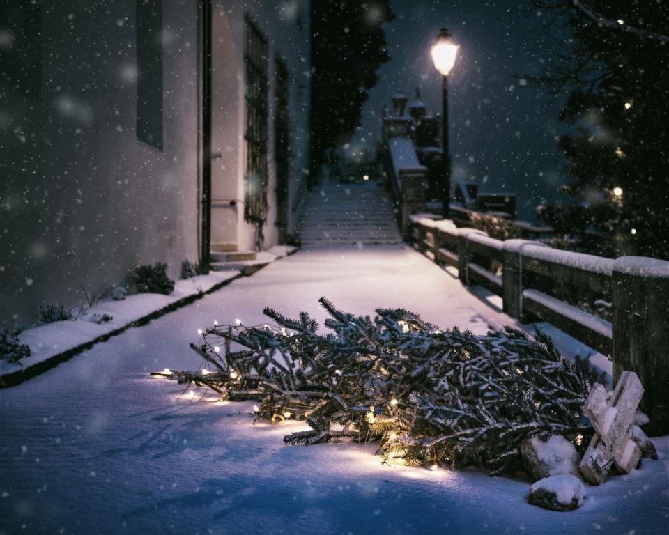 Snow Winter