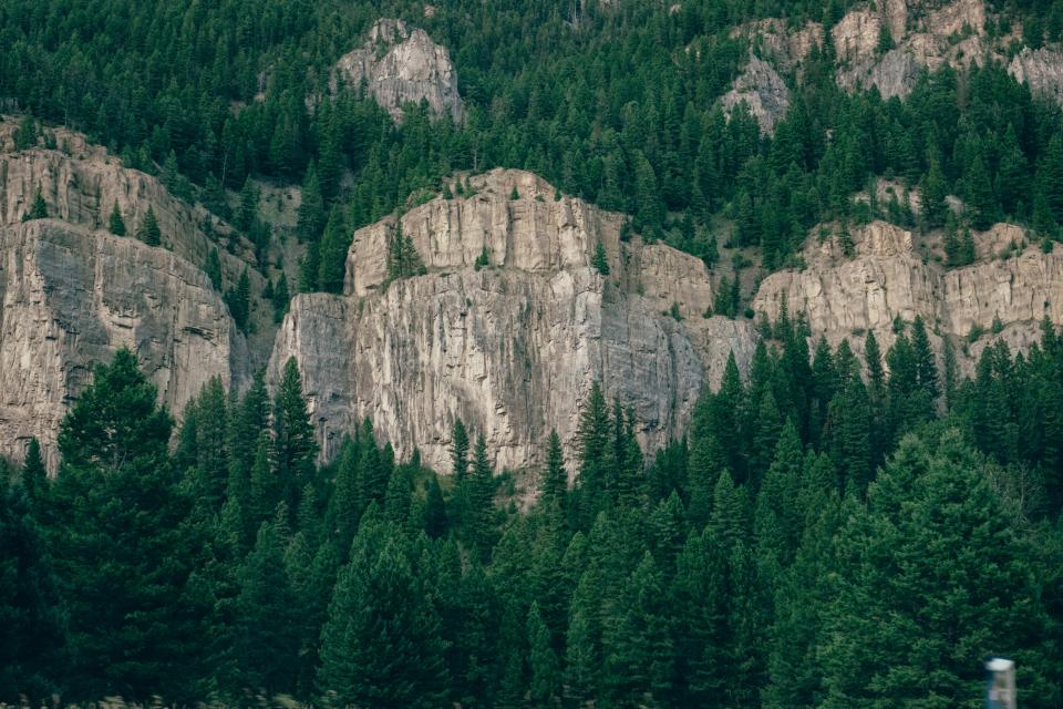 Nature Landscape