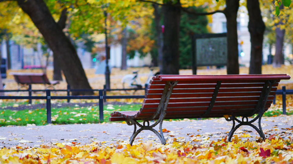 Park Bench