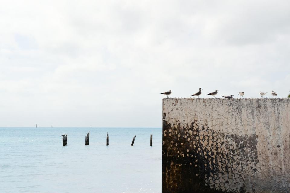 Grey Sky
