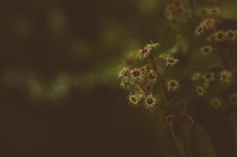 Dark Blur