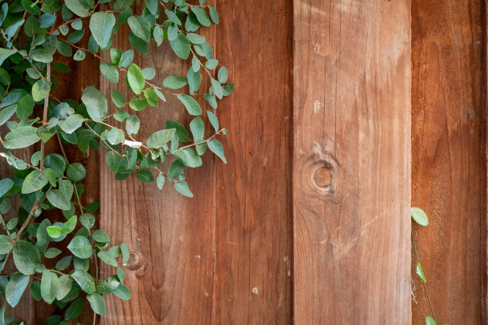 Wood Fence