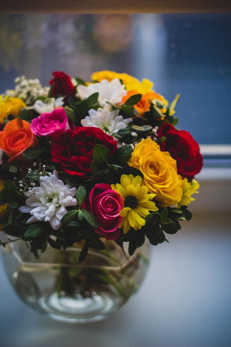 Colorful Flower