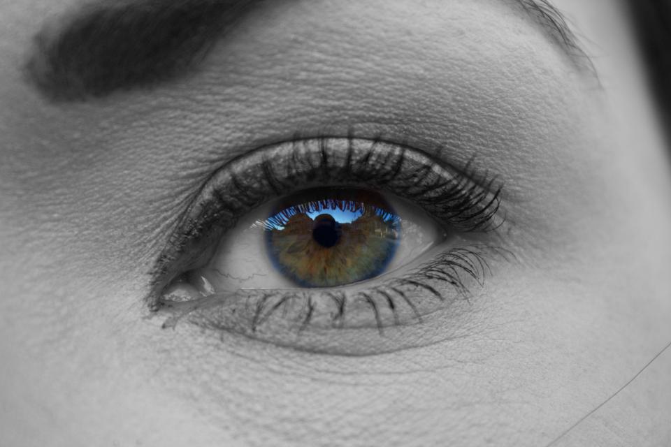 Eyes Eyelashes