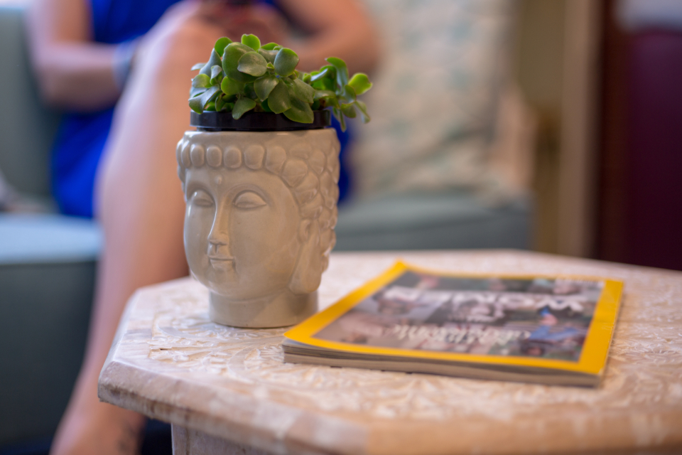 Plant Home