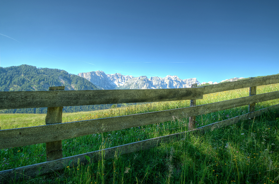 Fence Nature