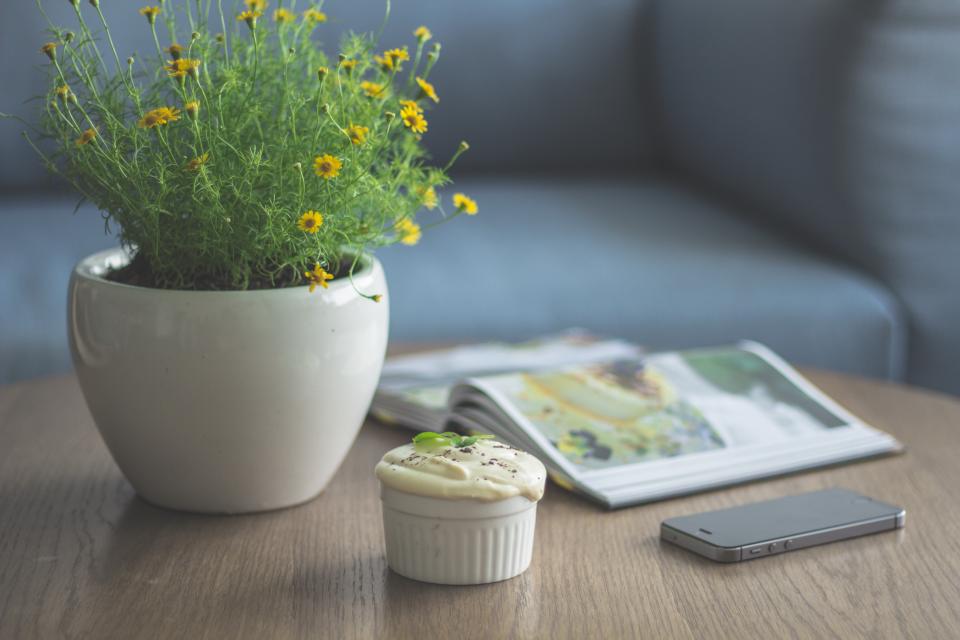Plant Pot
