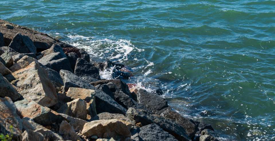 Ocean Waves