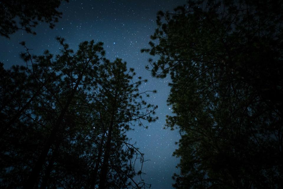 Dark Night