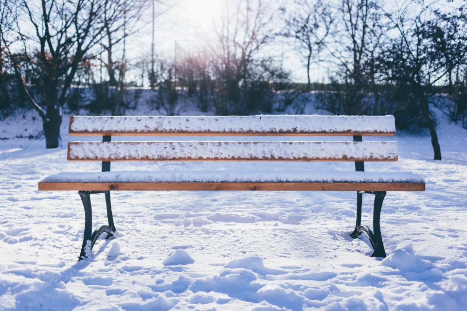 Bench Outdoor