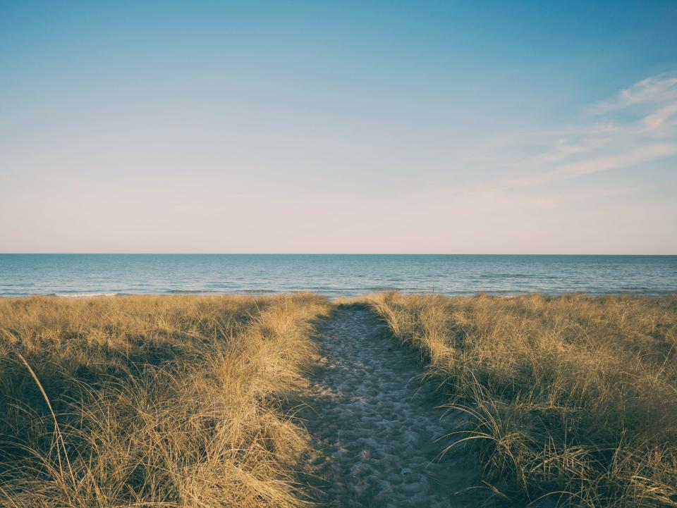 Beach Sand
