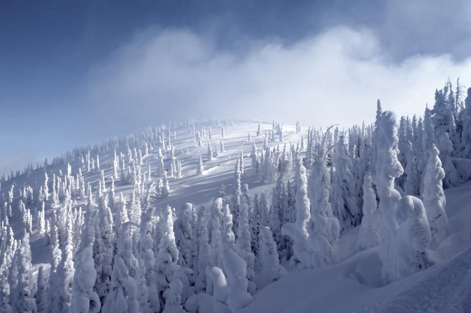Snow Winter