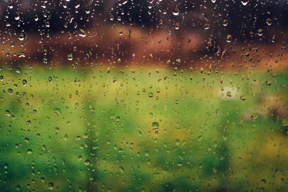 Raining Rain Drops