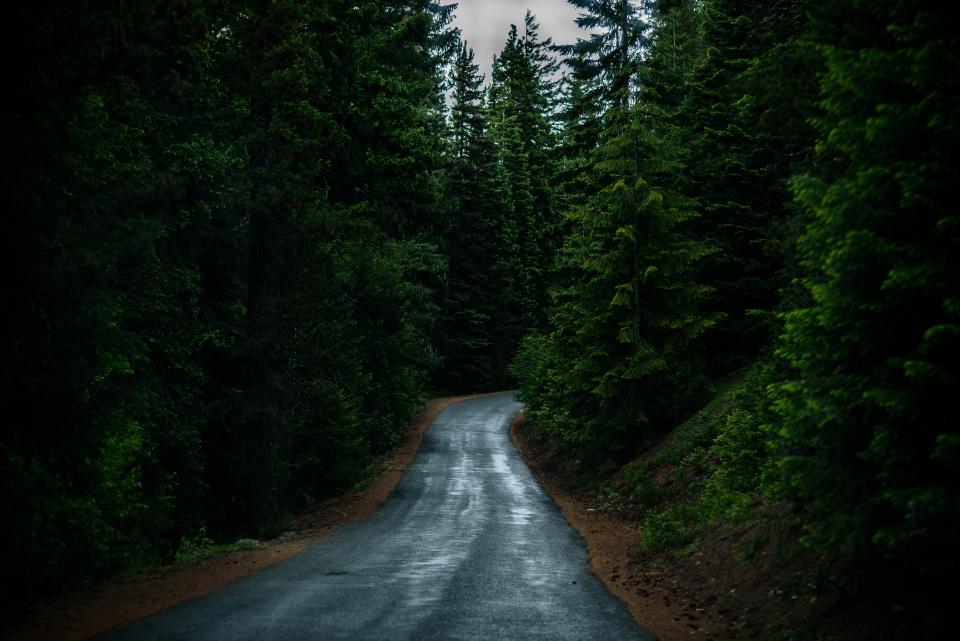 Nature Roads