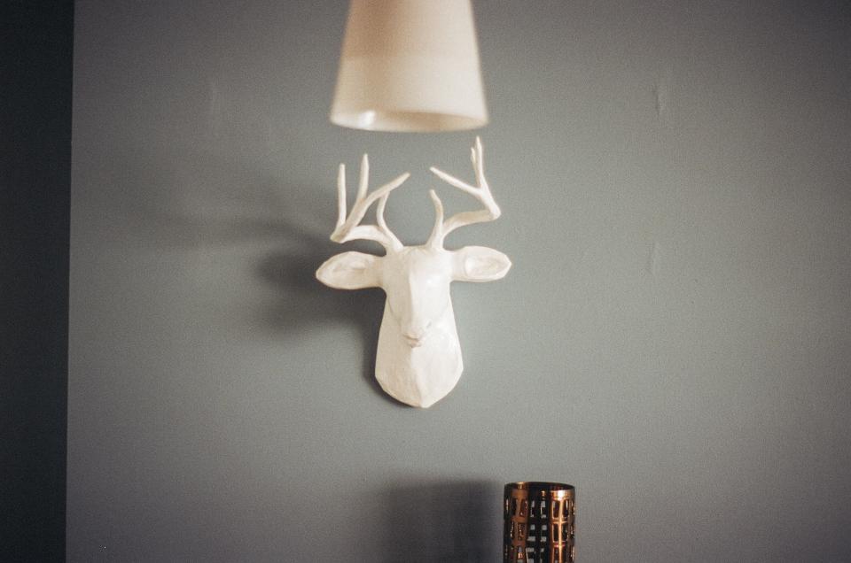 Deer Antlers