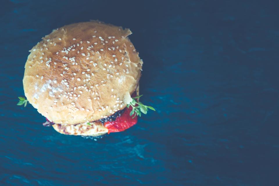 Hamburger Burger