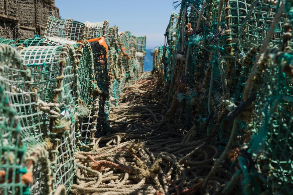 Fishing Net