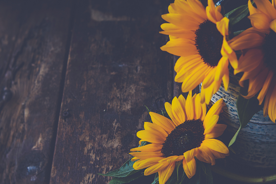 Flower Arrangment