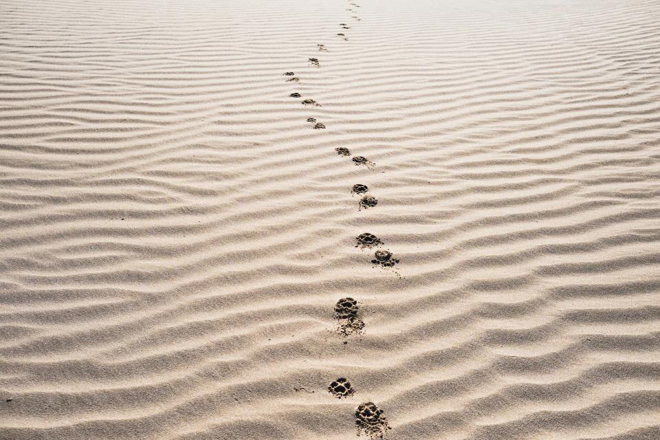 Sand Footprints